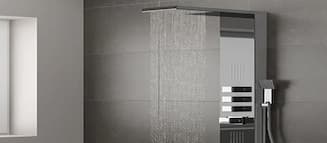 Combination overhead and handheld shower